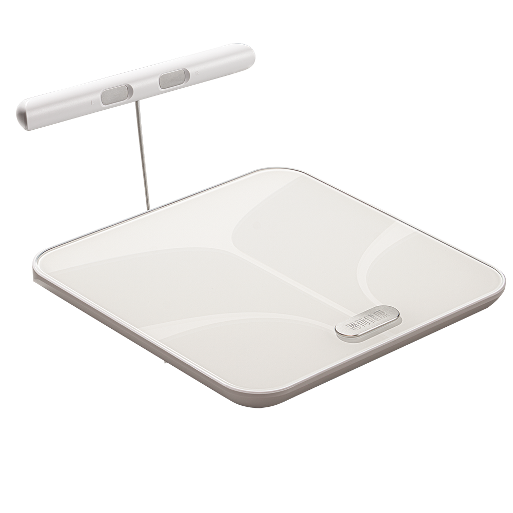 体脂｜体重｜体脂秤｜八电极｜秤｜称｜减肥｜体重秤｜蛋白质｜Deepseek｜DS