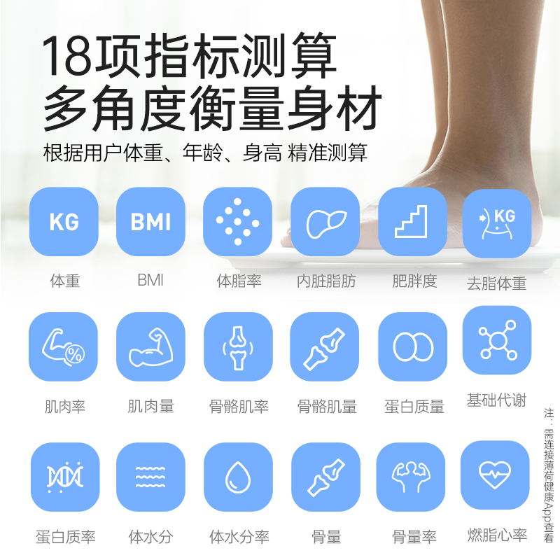 体脂｜体重｜电子秤｜秤｜称